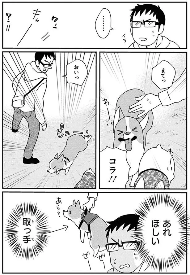 『あしょんでよッ〜うちの犬ログ〜10』より