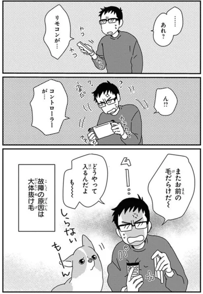 『あしょんでよッ〜うちの犬ログ〜10』より