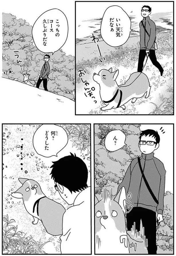 『あしょんでよッ〜うちの犬ログ〜10』より
