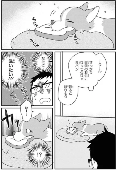 『あしょんでよッ〜うちの犬ログ〜10』より