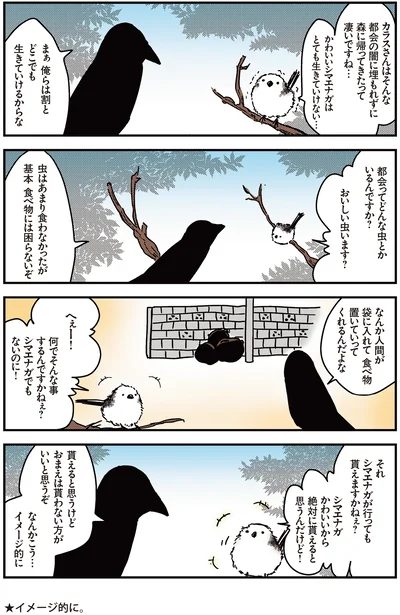 『永久機関シマエナガ-シマエナガとカラスさん-』より