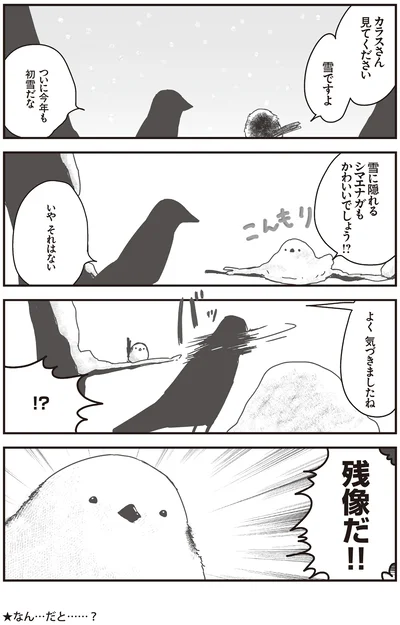 『永久機関シマエナガ-シマエナガとカラスさん-』より