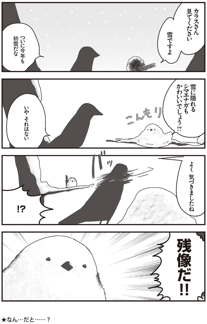 『永久機関シマエナガ-シマエナガとカラスさん-』より