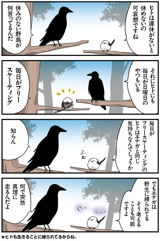 エナガは野生に縛られてる