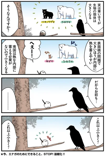 『永久機関シマエナガ－シマエナガとカラスさん－おかわり！』より