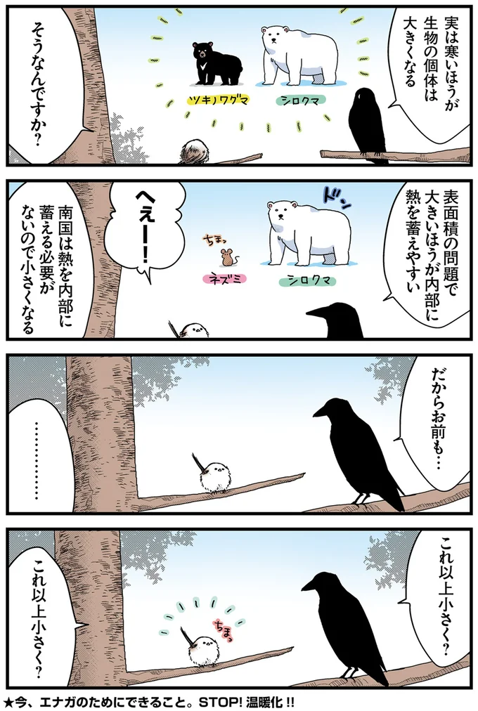 『永久機関シマエナガ－シマエナガとカラスさん－おかわり！』より