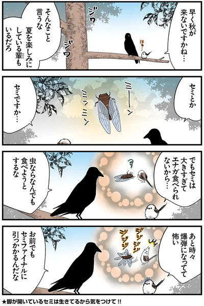 『永久機関シマエナガ－シマエナガとカラスさん－おかわり！』より