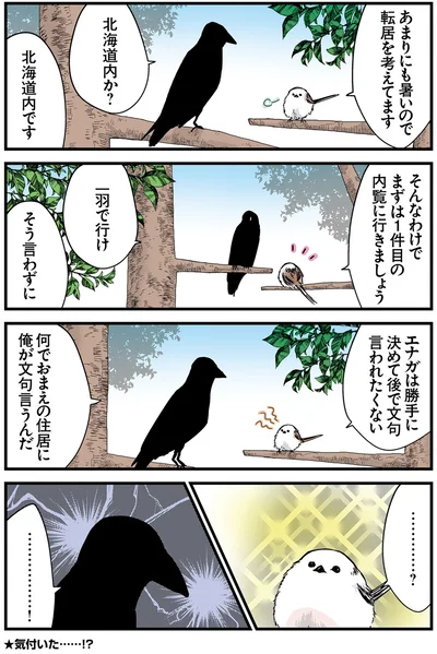 『永久機関シマエナガ－シマエナガとカラスさん－おかわり！』より