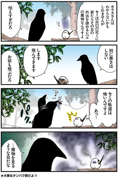 『永久機関シマエナガ－シマエナガとカラスさん－おかわり！』より