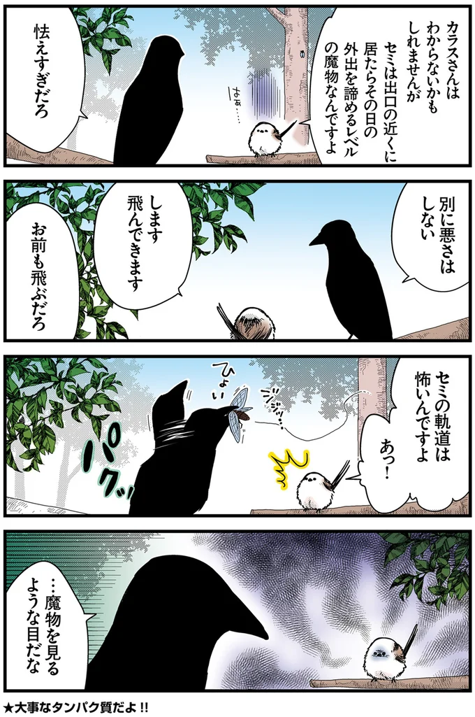 『永久機関シマエナガ－シマエナガとカラスさん－おかわり！』より