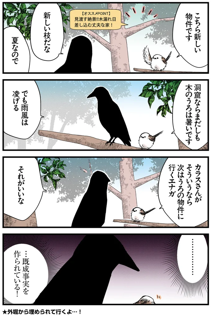 『永久機関シマエナガ－シマエナガとカラスさん－おかわり！』より