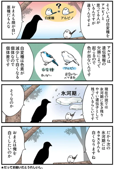 『永久機関シマエナガ－シマエナガとカラスさん－おかわり！』より