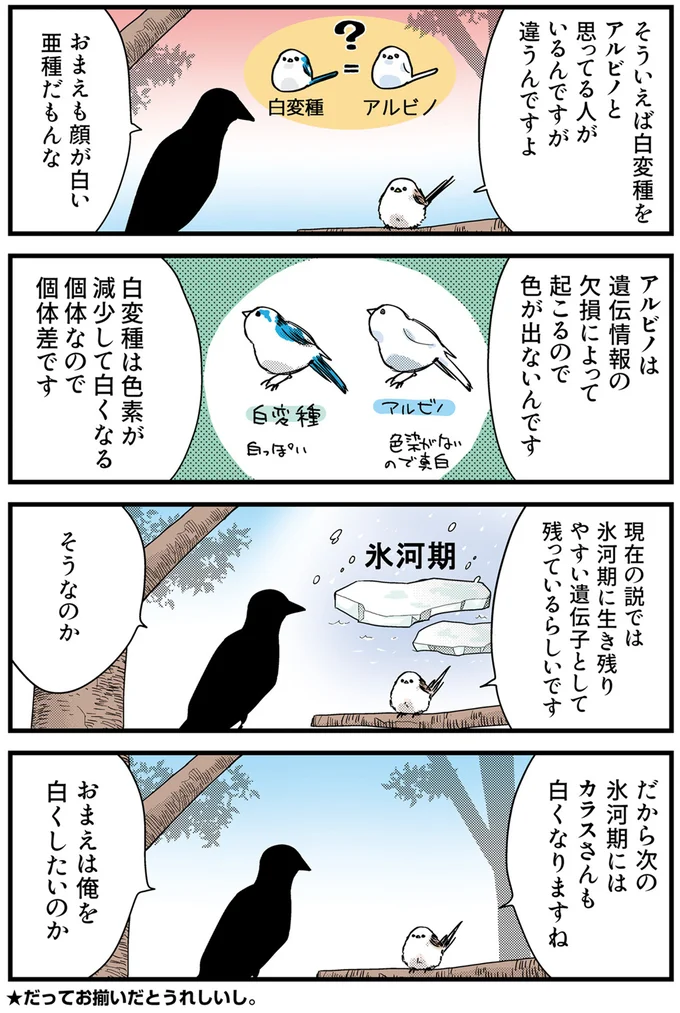 『永久機関シマエナガ－シマエナガとカラスさん－おかわり！』より