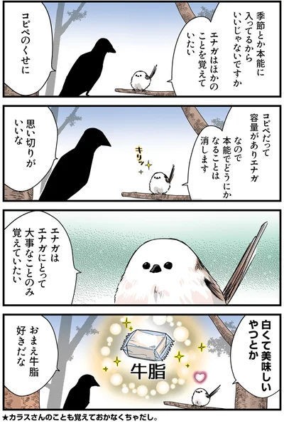 『永久機関シマエナガ－シマエナガとカラスさん－おかわり！』より