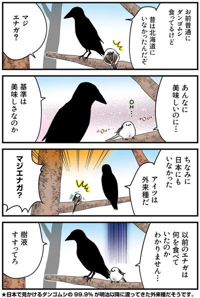 『永久機関シマエナガ－シマエナガとカラスさん－おかわり！』より