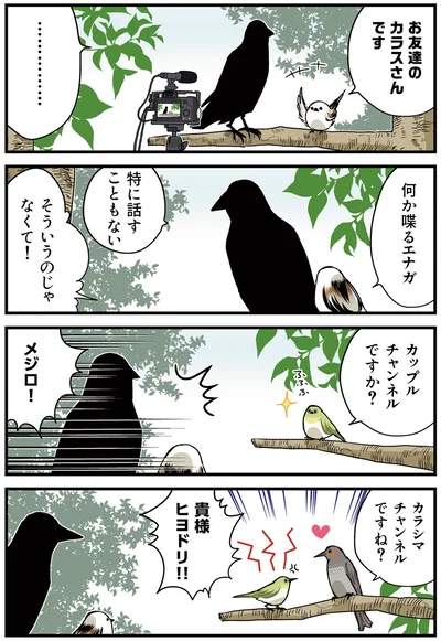 『永久機関シマエナガ－シマエナガとカラスさん－さんばいめっ！』より