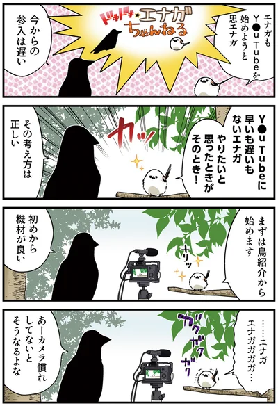 『永久機関シマエナガ－シマエナガとカラスさん－さんばいめっ！』より