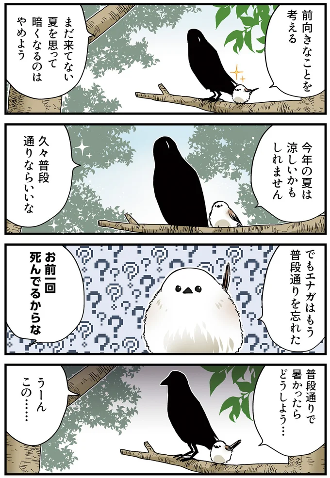 『永久機関シマエナガ－シマエナガとカラスさん－さんばいめっ！』より