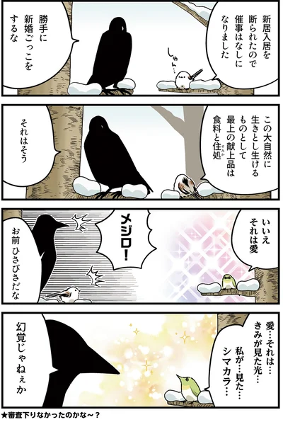 『永久機関シマエナガ－シマエナガとカラスさん－さんばいめっ！』より