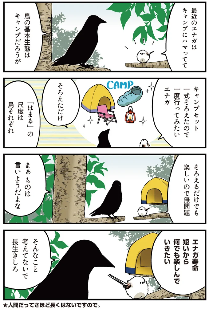 キャンプにハマってて