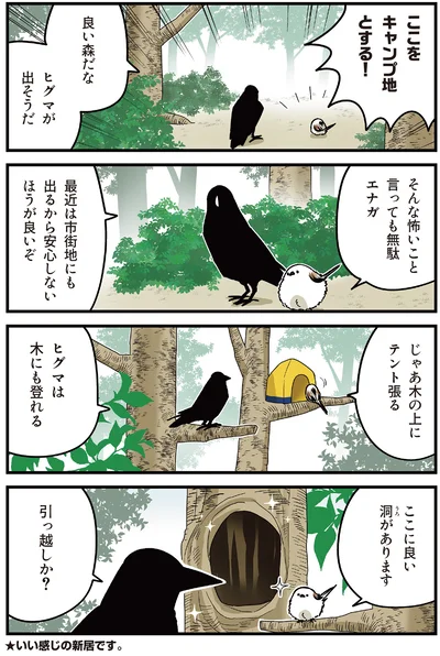 ここをキャンプ地とする！