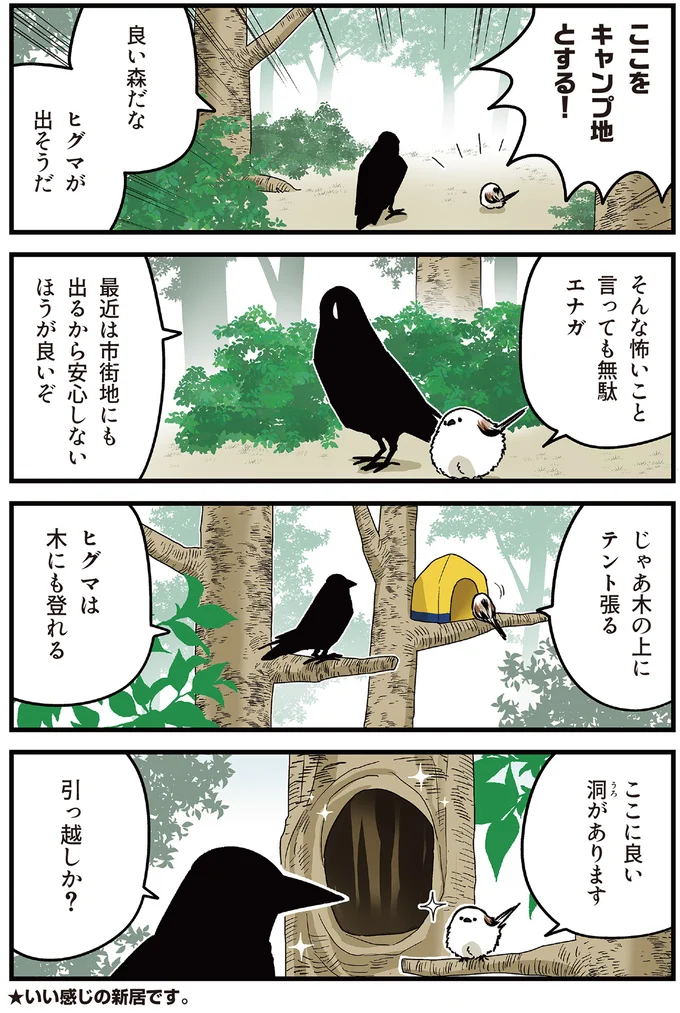 ここをキャンプ地とする!