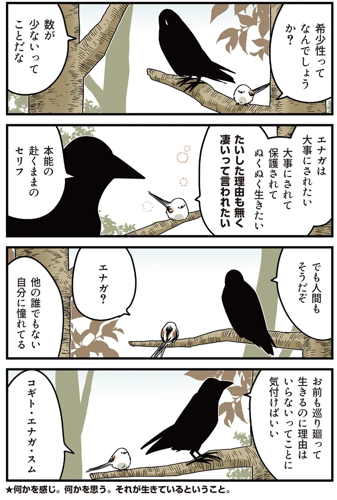 『永久機関シマエナガ－シマエナガとカラスさん－よんはいめっ！』より