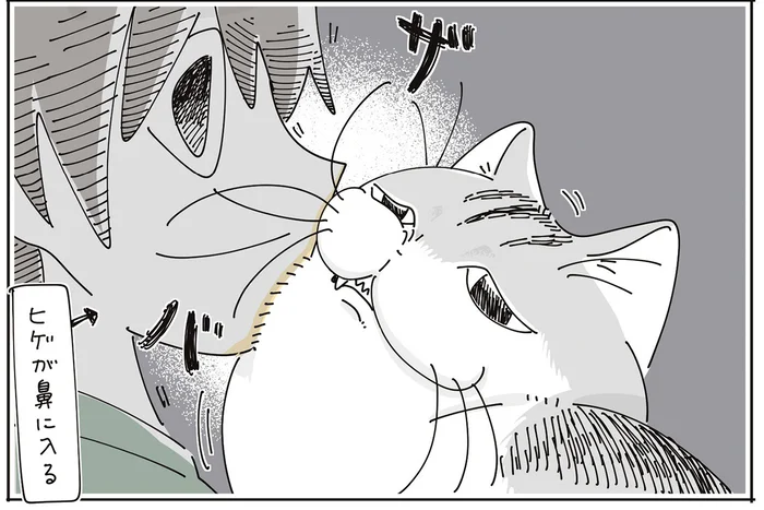 飼い主と猫のスキンシップ。仲良さそうに見えるけれど、互いに不満があるようで？