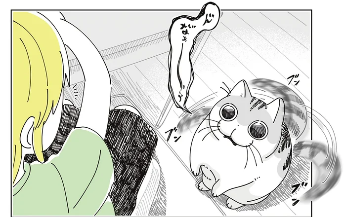 遊び足りないの？ テンションMAXで動き回ったあとも続きをねだる猫