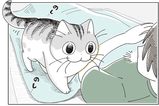 昼寝をしたい飼い主のもとにやってきた猫。一緒に寝たいのかな？と思ったら