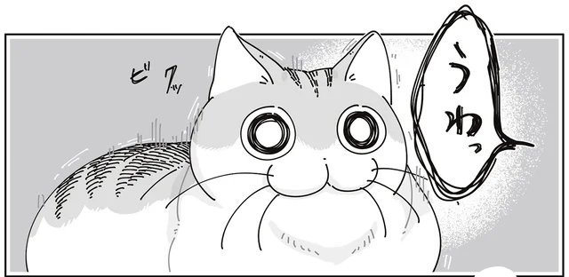 のんびりした時間に突如飼い主の「うわっ」。びっくりした猫の次の行動は