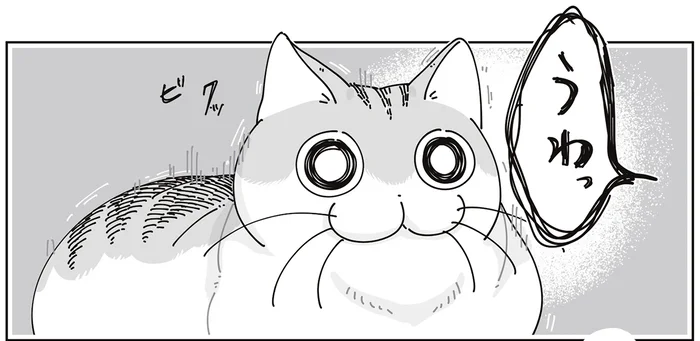 のんびりした時間に突如飼い主の「うわっ」。びっくりした猫の次の行動は