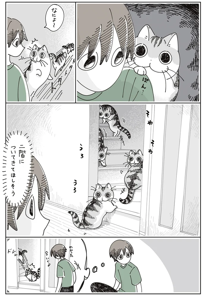 ついてきてほしそう