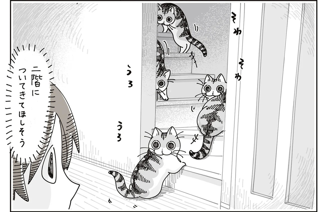 2階についてきてほしいの？ そわそわうろうろする猫に呼ばれているよう