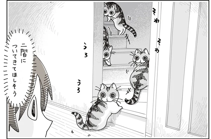 2階についてきてほしいの？ そわそわうろうろする猫に呼ばれているようで