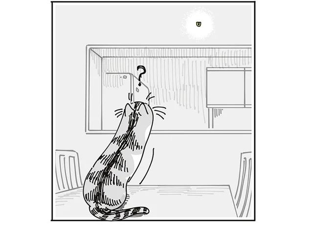 なかなか見ない時計の裏。猫が気になっているような動きを見せるけれど