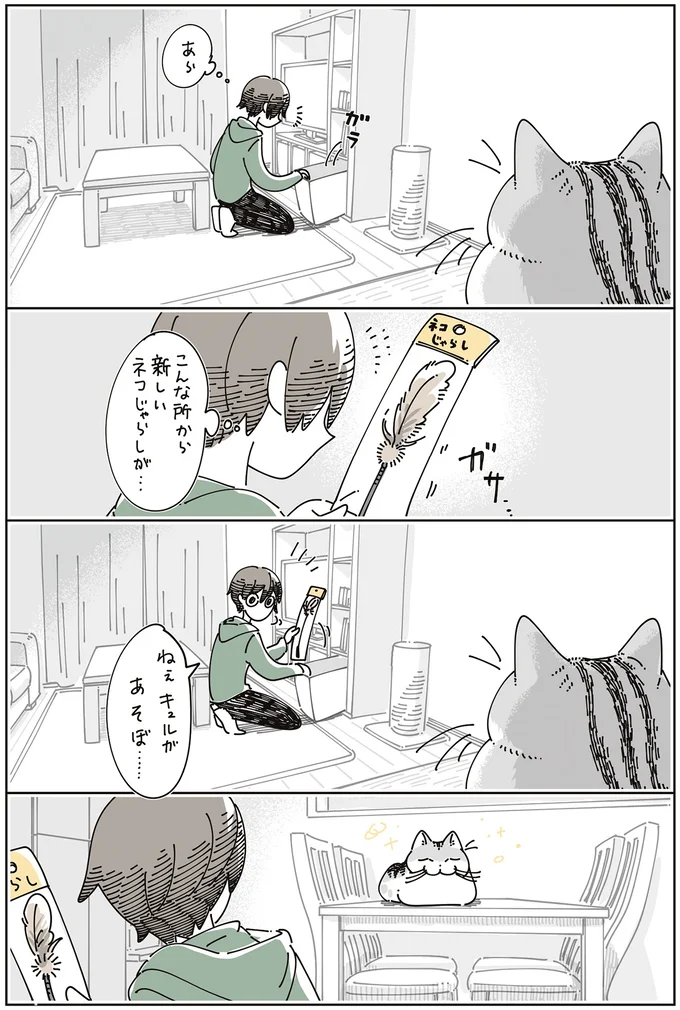 新しいネコじゃらしが…