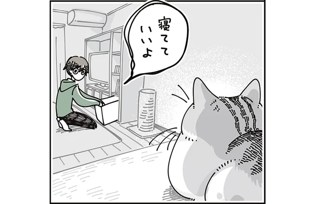 寝ている猫を起こしてしまった！ 「寝ててもいいよ」飼い主は気を遣うけれど