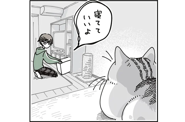 寝ている猫を起こしてしまった！ 「寝ててもいいよ」飼い主は気を遣うけれど