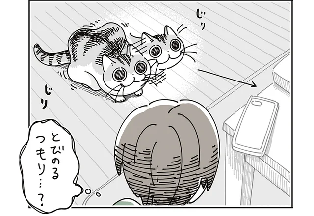 猫がごちゃごちゃの机の上に飛び乗ろうとしてる!? 慌てて片付け始めるも