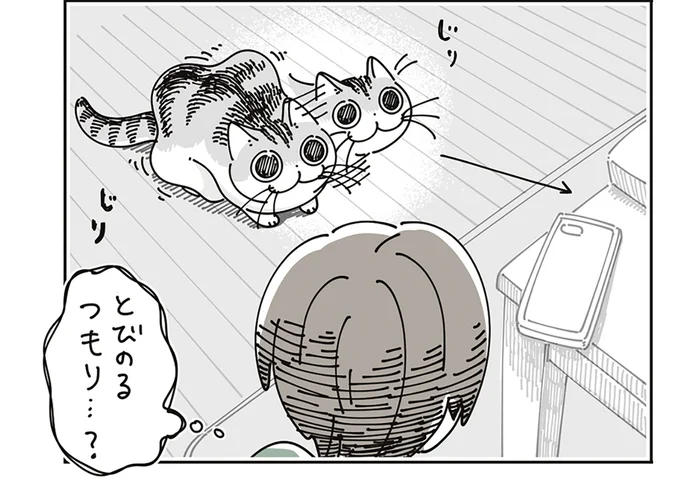 猫がごちゃごちゃの机の上に飛び乗ろうとしてる!? 慌てて片付け始めるも