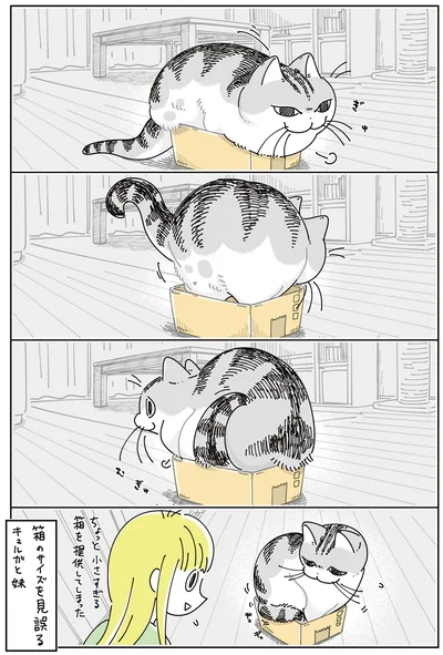 箱のサイズを見誤る