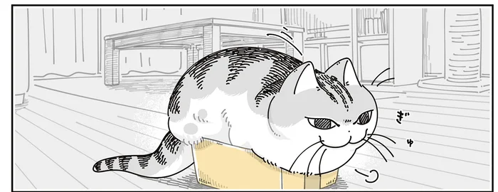 ぎゅむぎゅむに小さな箱に入り込む猫。少し小さすぎやしませんか？