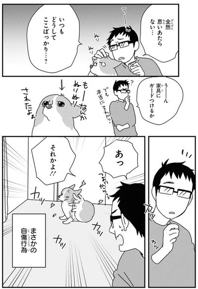 どうしてここばっかり…？