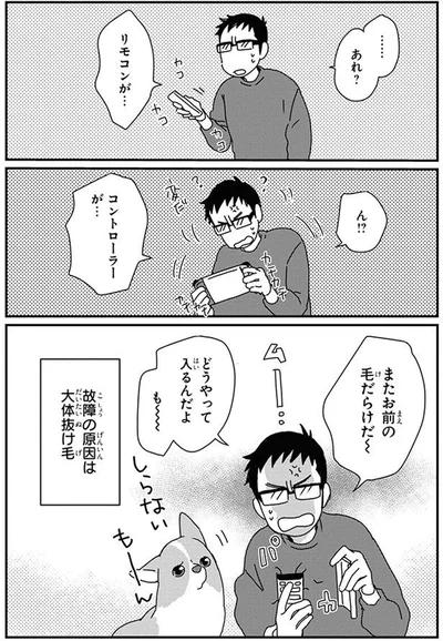 またお前の毛だらけだ～