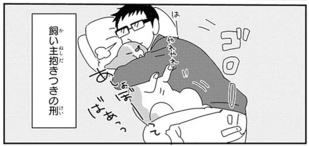 罪深いかわいさ！愛くるしいコーギーに飼い主さんから抱きつきの刑