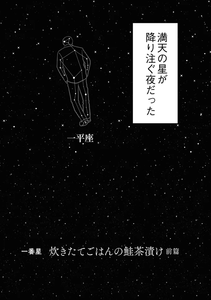 満点の星が降り注ぐ夜だった