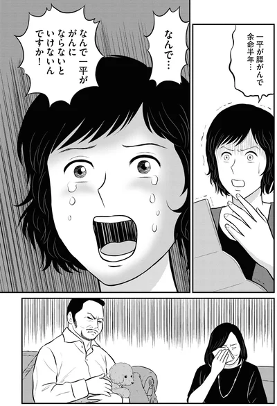 『星のさいごメシ 2』より