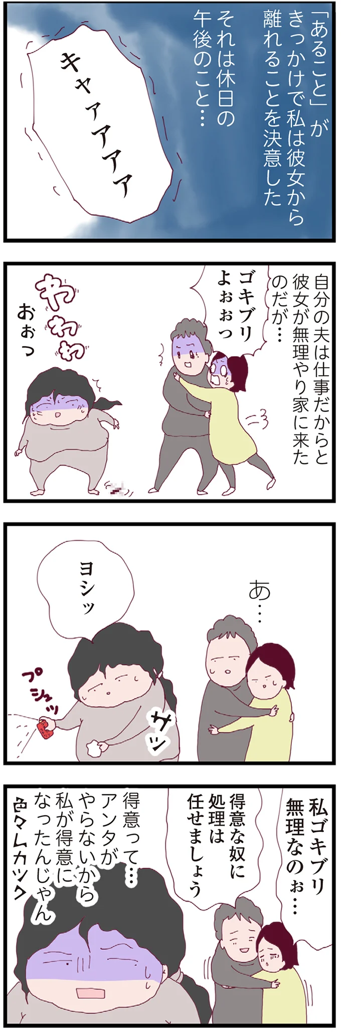 『整形主婦 サレ妻の逆襲』より