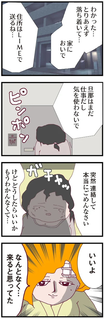 『整形主婦 サレ妻の逆襲』より